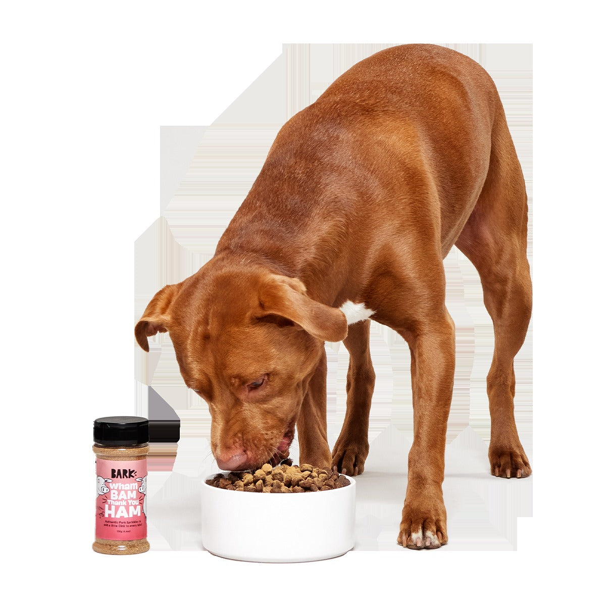 Wham Bam Thank You Ham Pork Dog Food Meal Topper