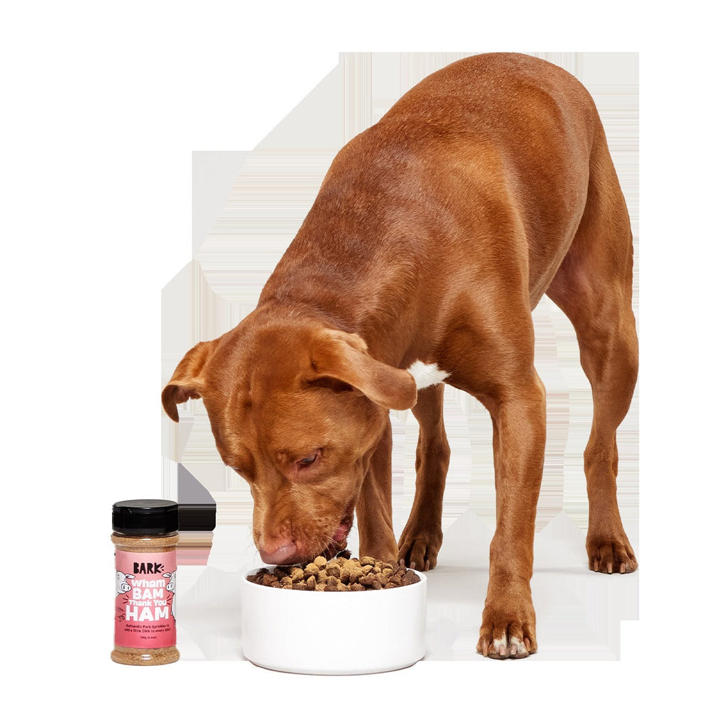 Wham Bam Thank You Ham Pork Dog Food Meal Topper