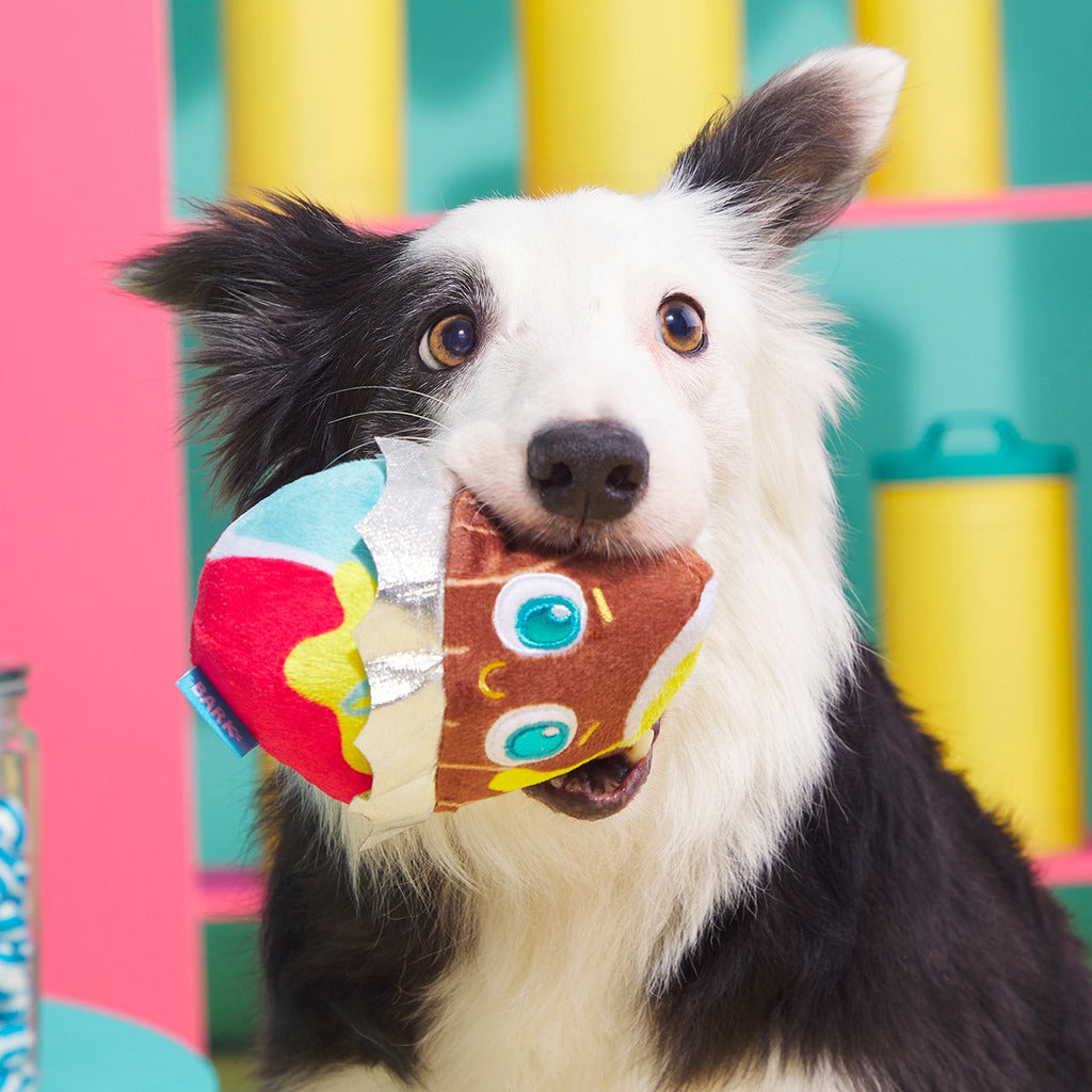 Cadfurry Eggs Plush Multi-Part + Fetch Dog Toy