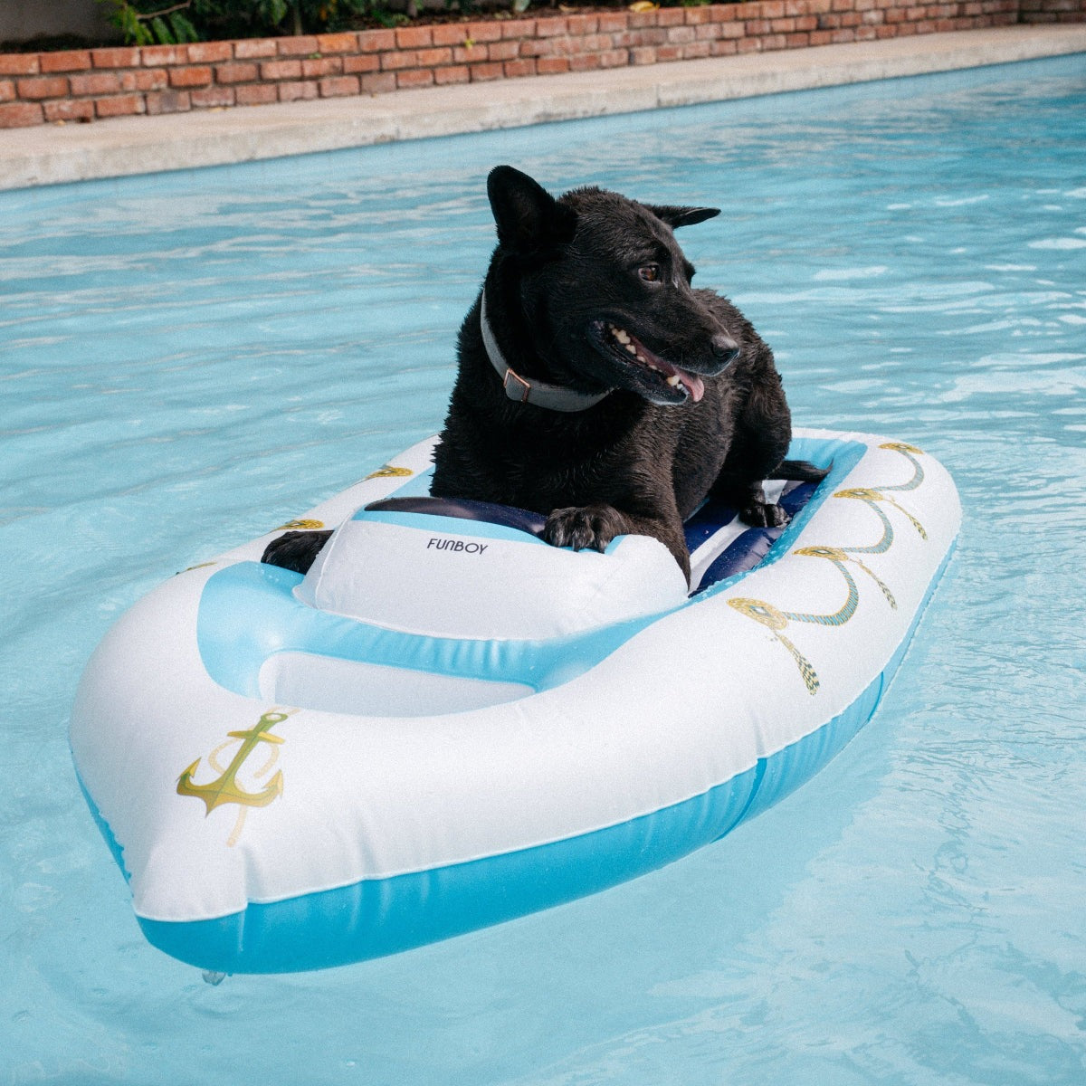 Funboy x BARK Dog Yacht Pool Float