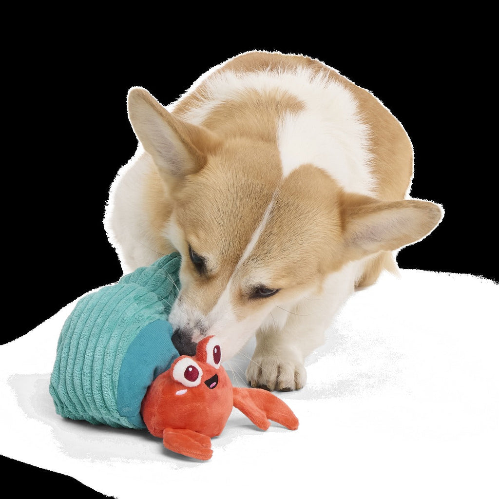 Herman the Hermit Plush Tug Dog Toy