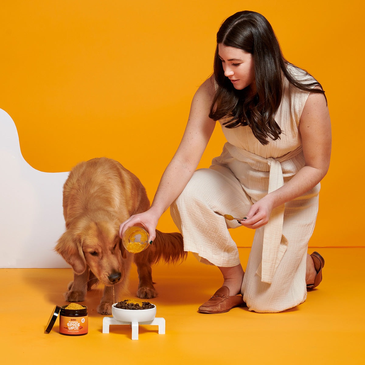 Pumpkin Spice, And Everything Nice Vegetarian Dog Food Meal Topper