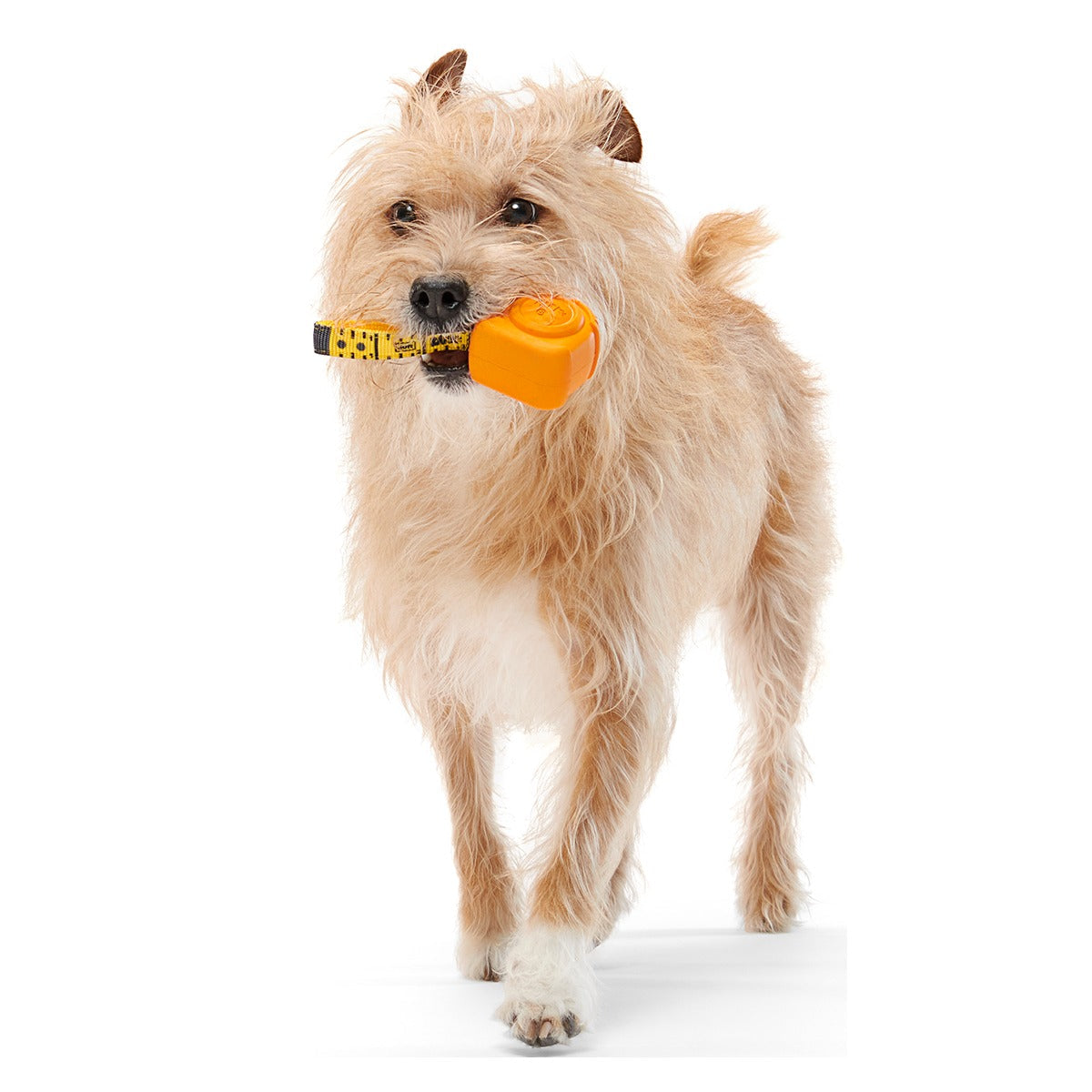 Tug Measure Super Chewer Durable Dog Toy