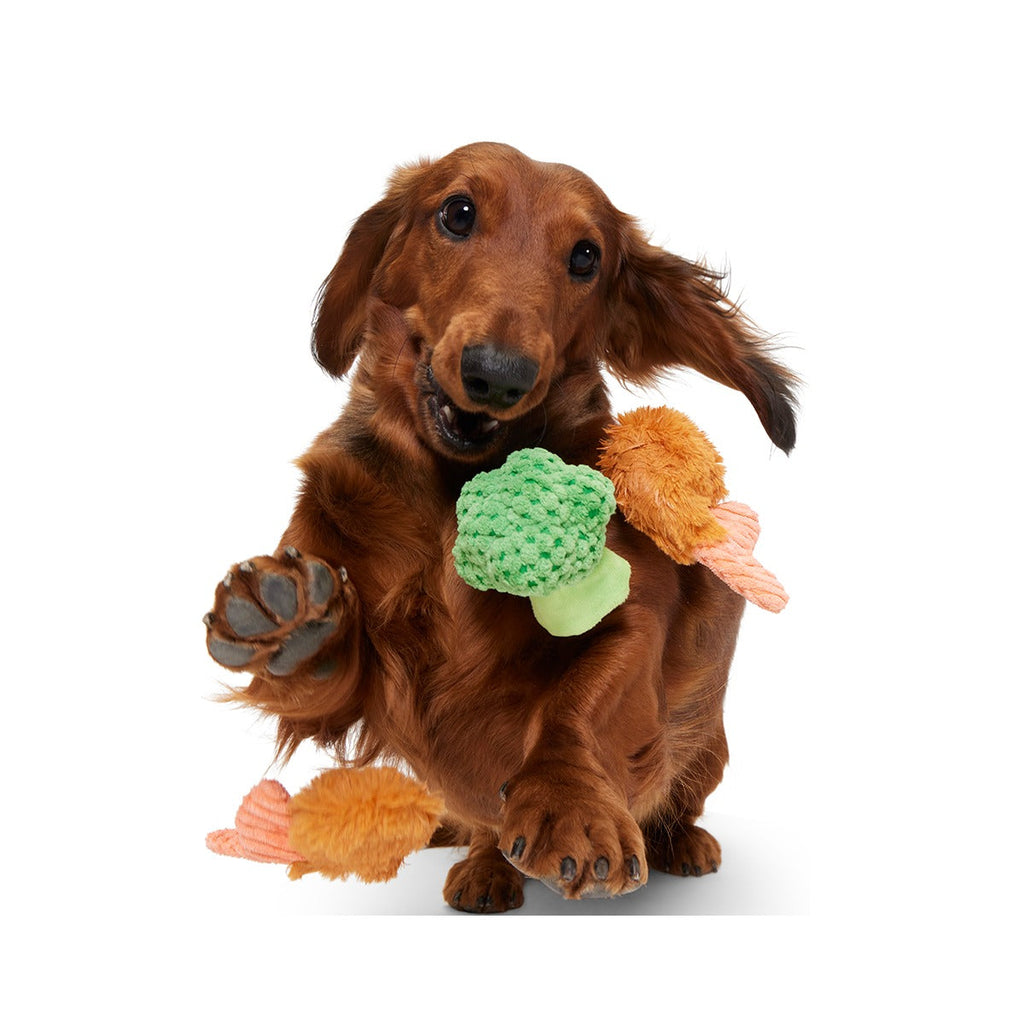 Sizzlin' Sea & Tree Sampletizer Plush Multi-Part + Enrichment Dog Toy