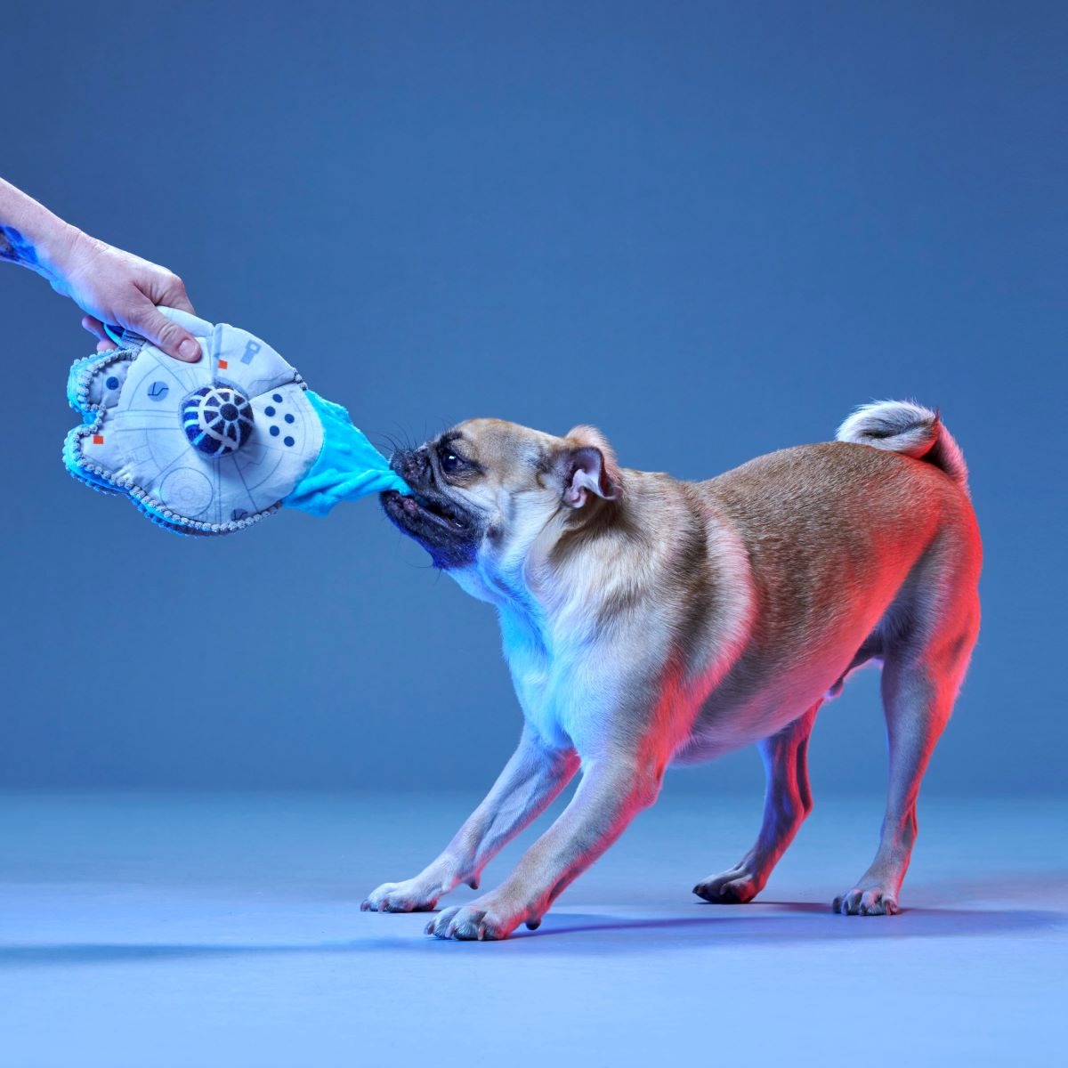 Ultimutt Milennium FalconTM Plush Multi-Part + Fetch Dog Toy