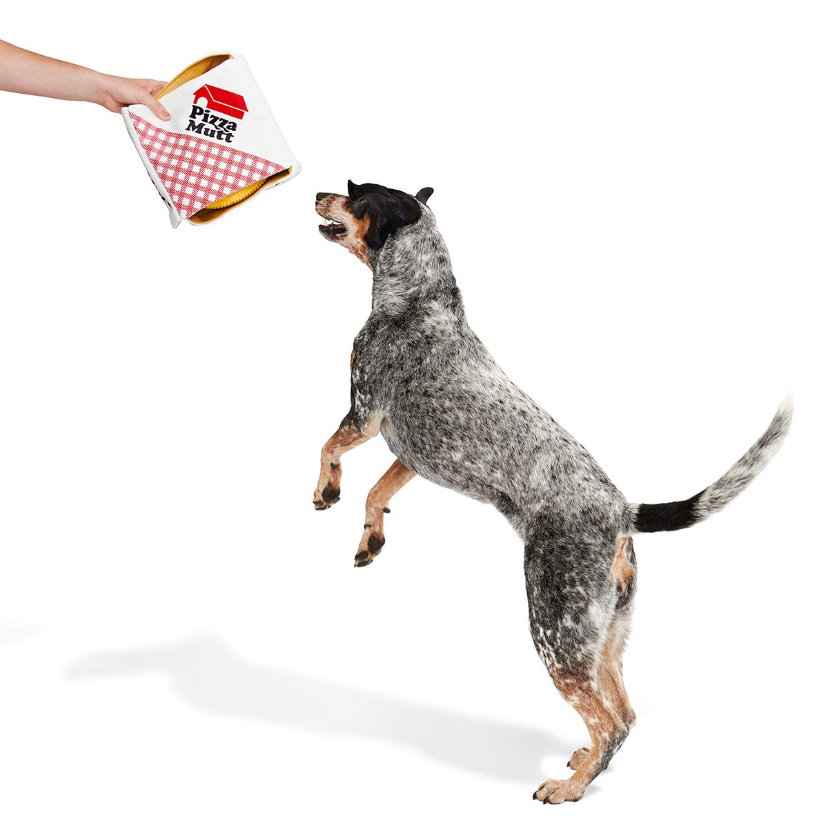 Pizza Pawty Plush Multi-Part + Enrichment Dog Toy