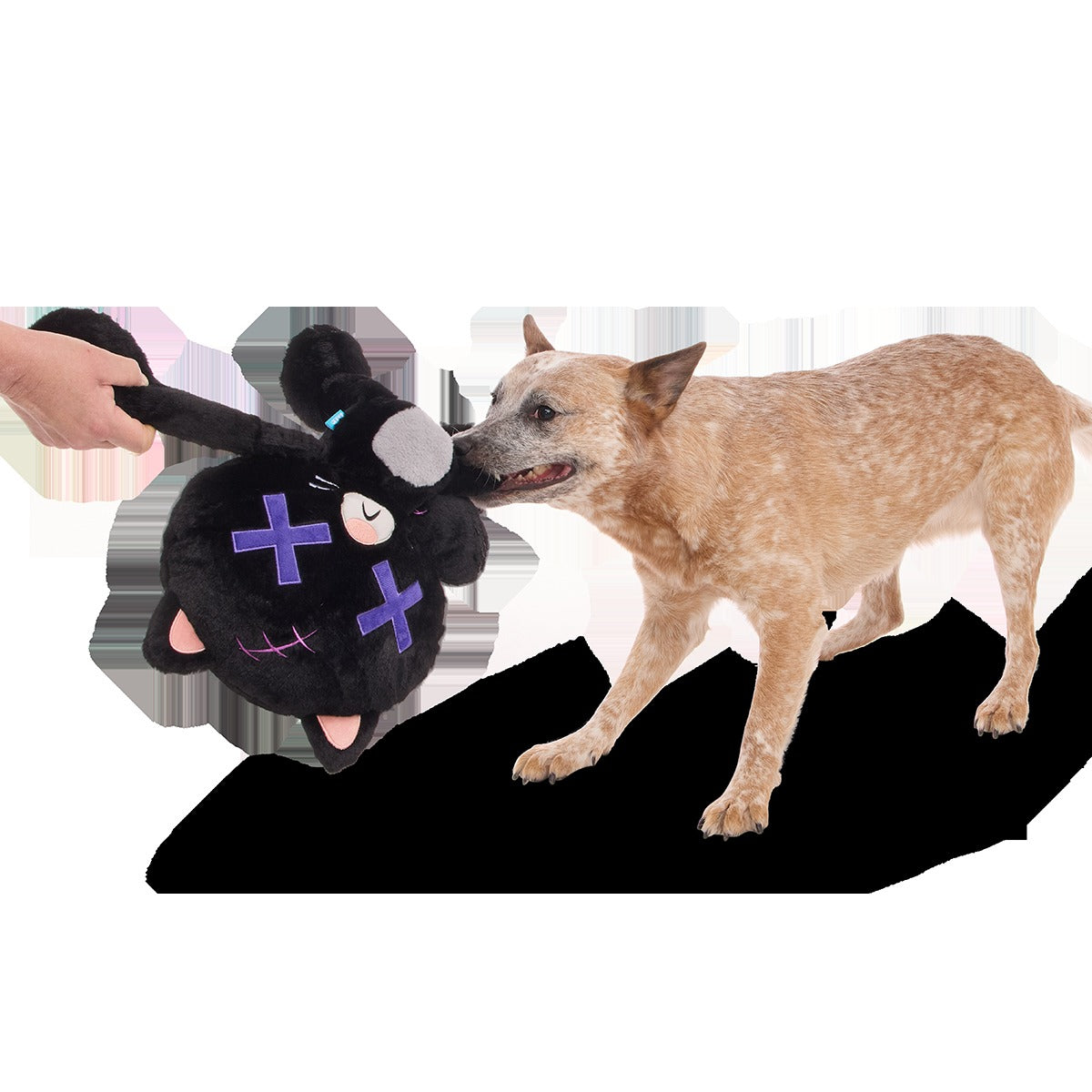 Kolossal Klaus Plush Extra-Large + Tug Dog Toy