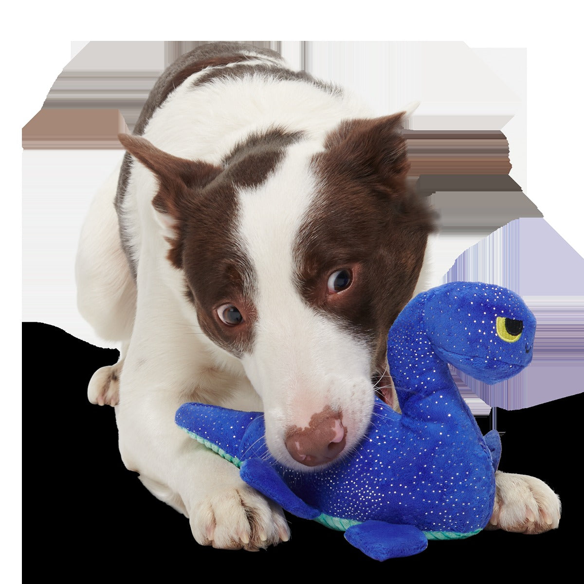 Luke Ness Monster Plush Tug Dog Toy