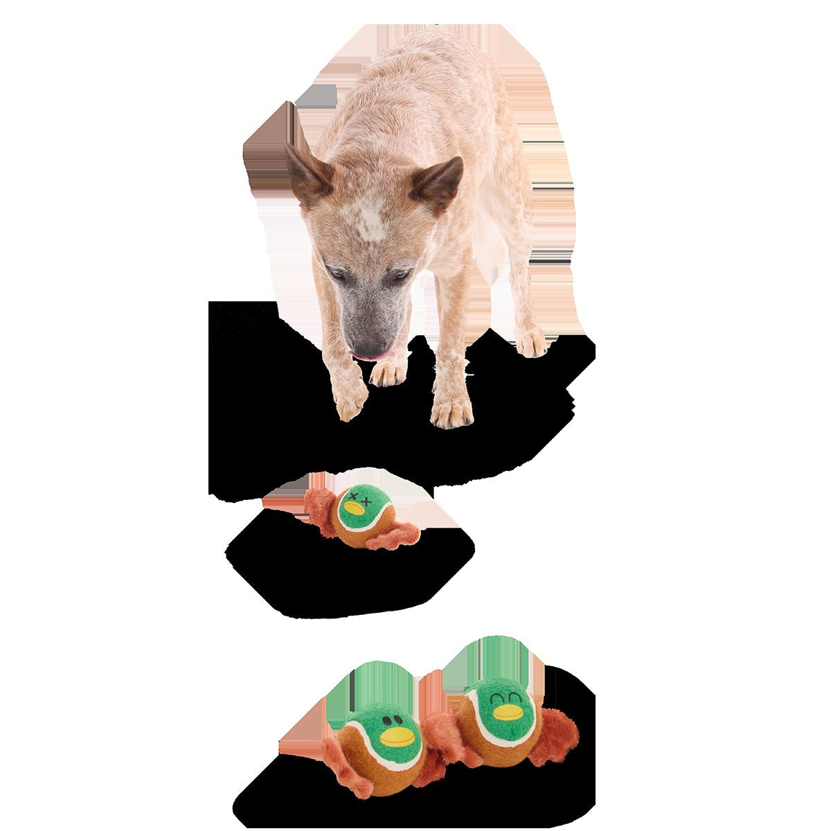 Tennis Ball Club, 3 Squeaky Monthly Tennis Ball Dog Toys