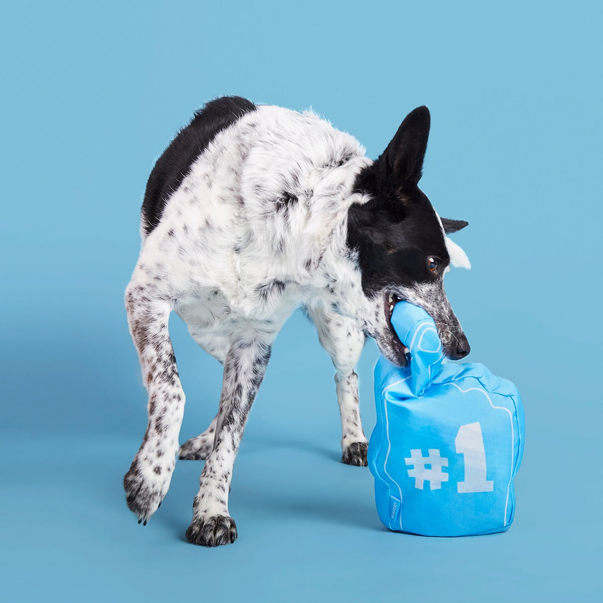 Top Dog Foam Finger Plush Enrichment Dog Toy