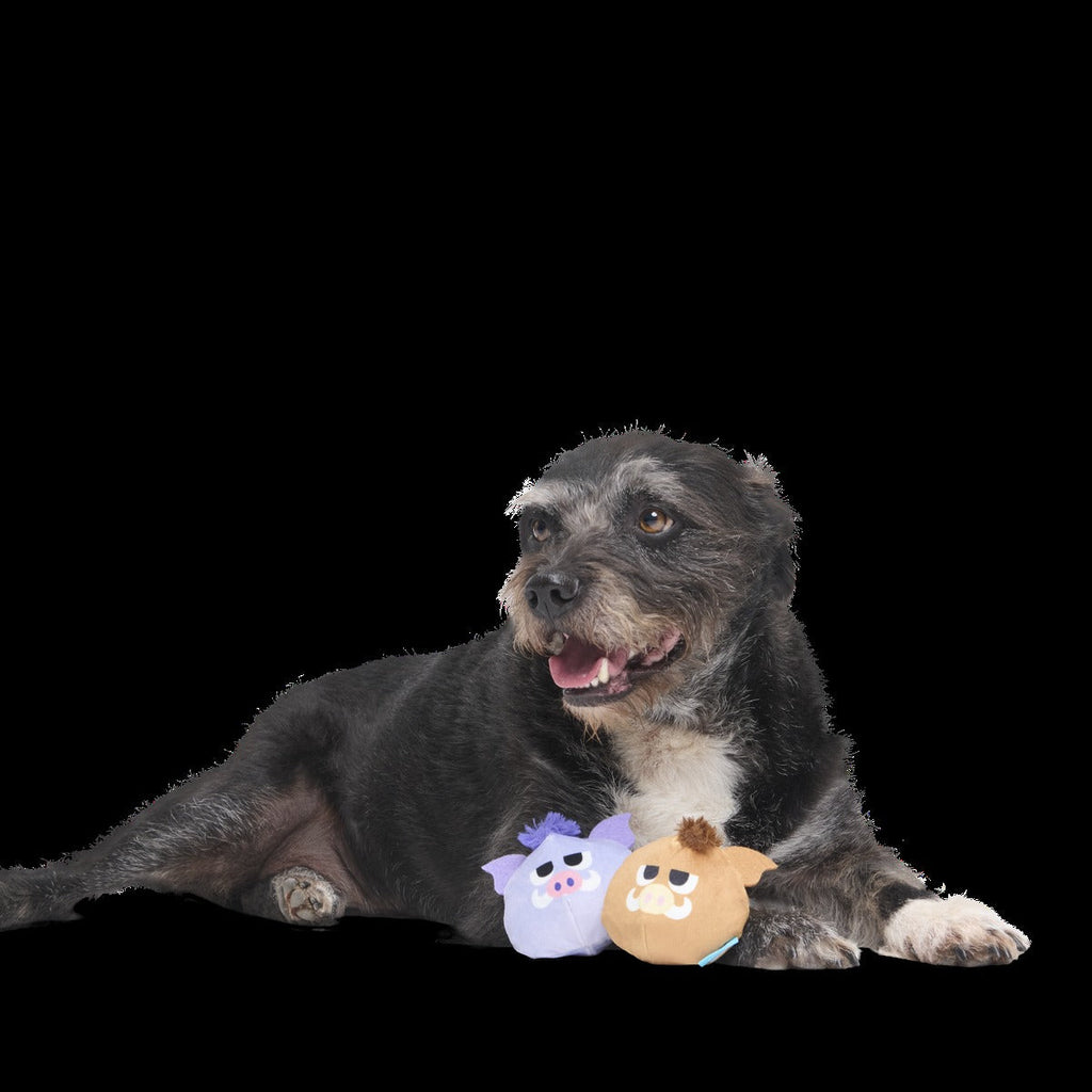 The Boar Bros Plush Multi-Part Dog Toy