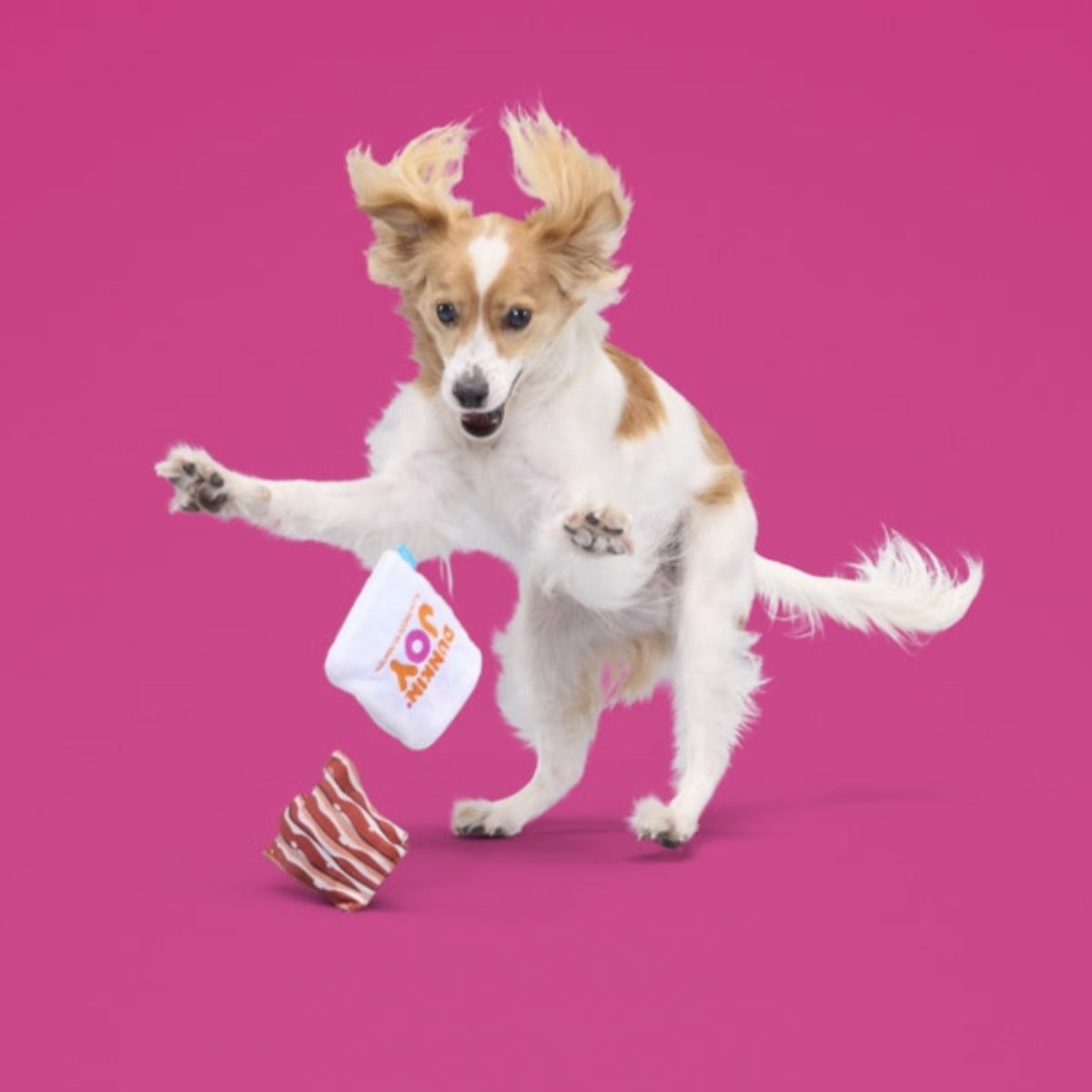 Dunkin'® Snackin' Bacon Plush Multi-Part + Enrichment Dog Toy