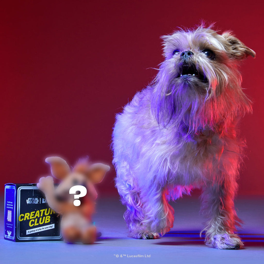 Star WarsTM Creature Club, Plush Monthly Dog Toys