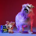 Star WarsTM Creature Club, Plush Monthly Dog Toys