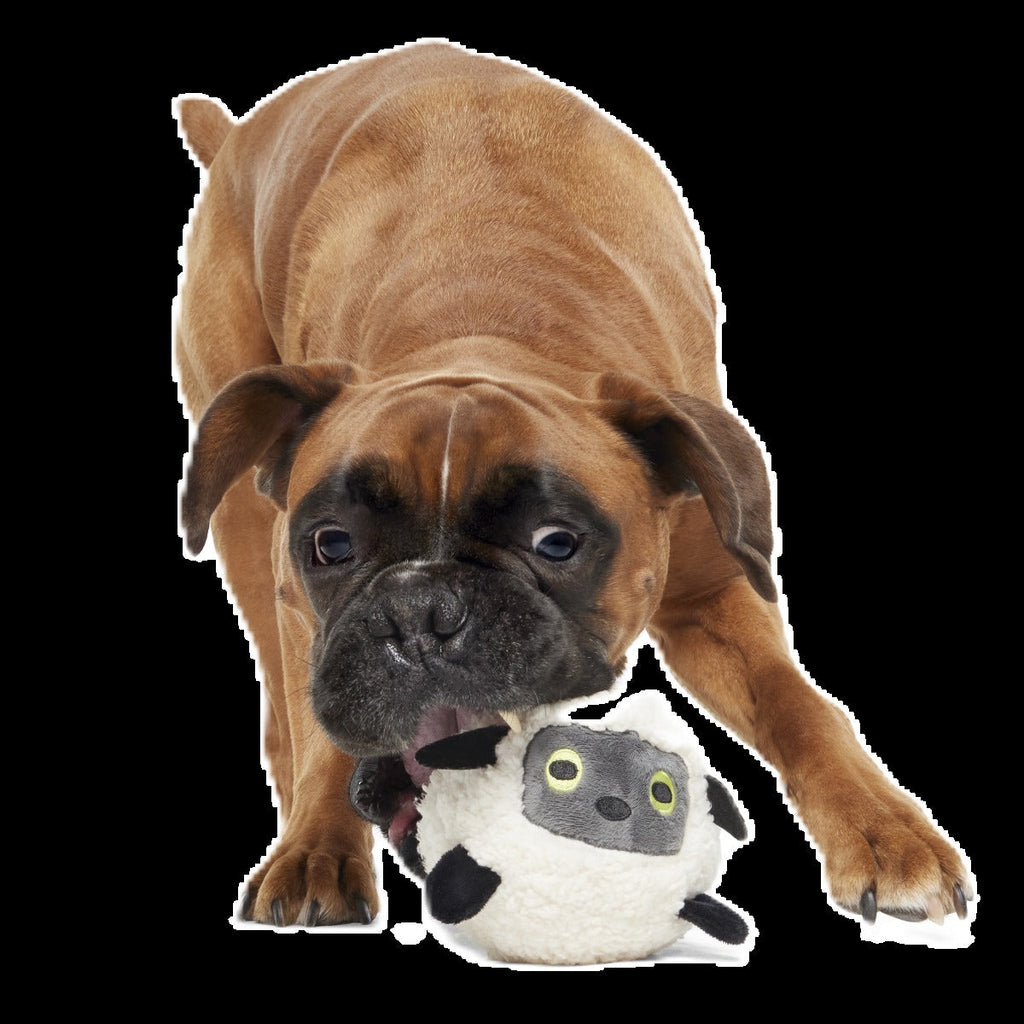 Little Bo Pup Super Chewer Durable Fetch + 2-in-1 Dog Toy