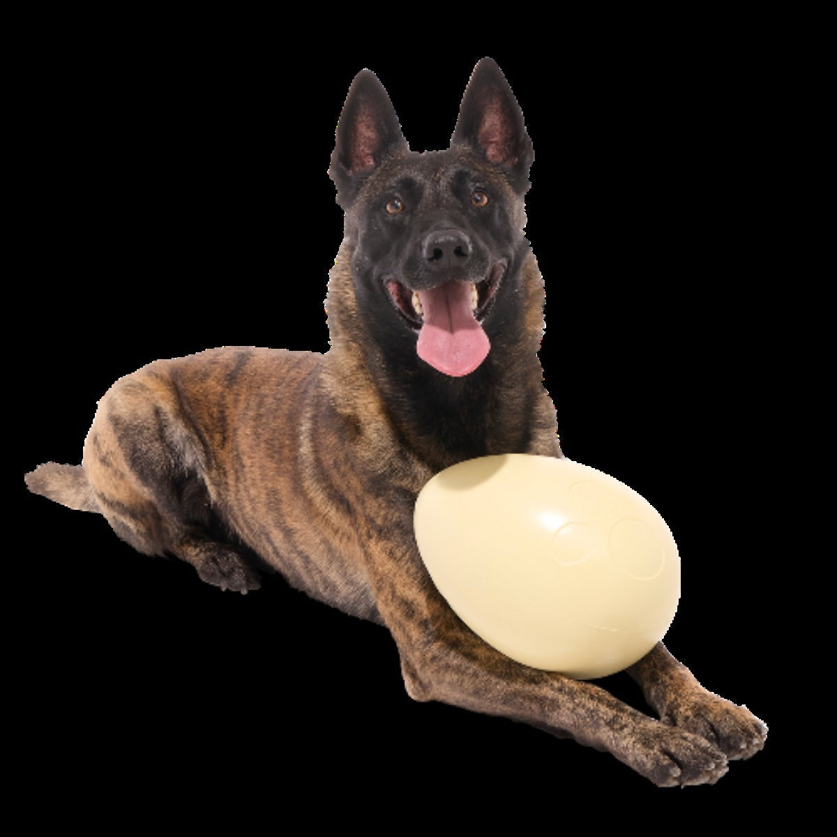 Dinosaur Egg Super Chewer Durable Extra-Large + Fetch Dog Toy