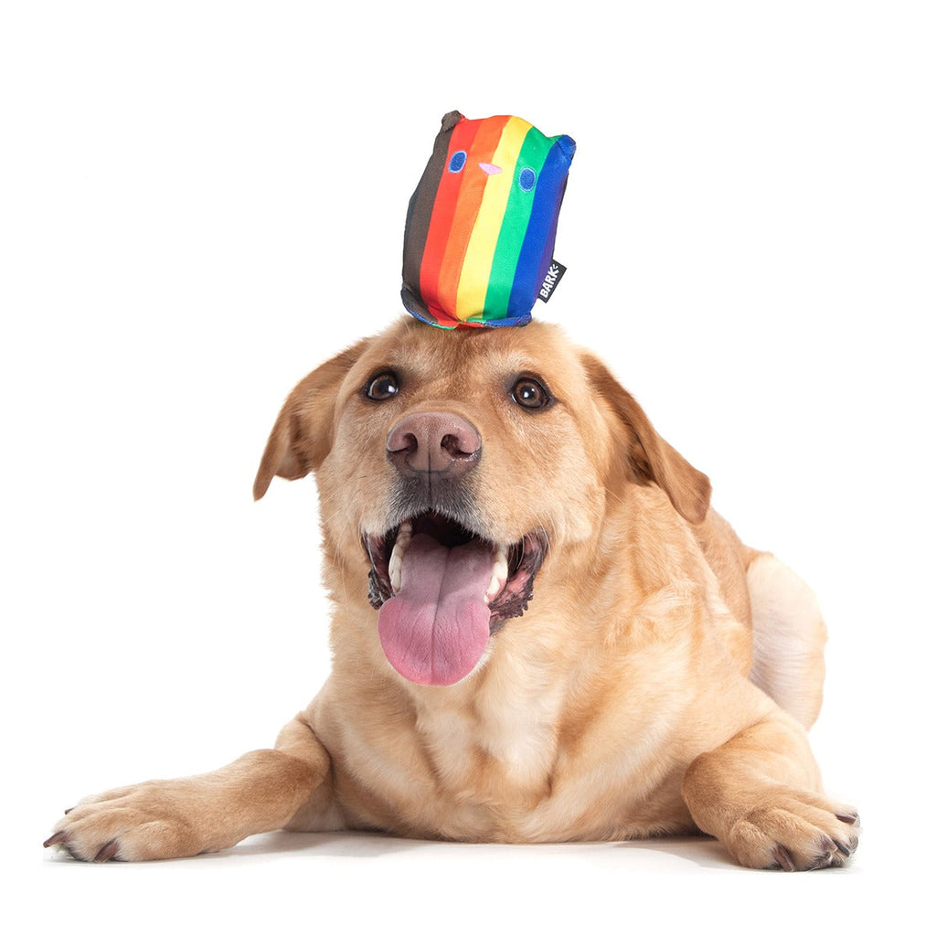Some Bear Over The Rainbow Super Chewer Durable 2-in-1 Dog Toy