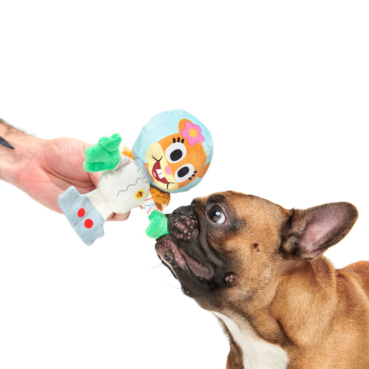 Kah-Rah-Tay Chomp Sandy Plush Tug Dog Toy