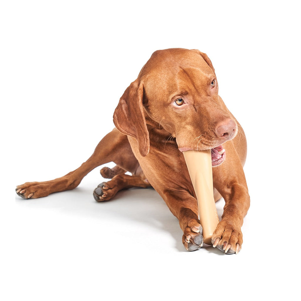 Mighty Bone Super Chewer Durable Gnaw Dog Toy