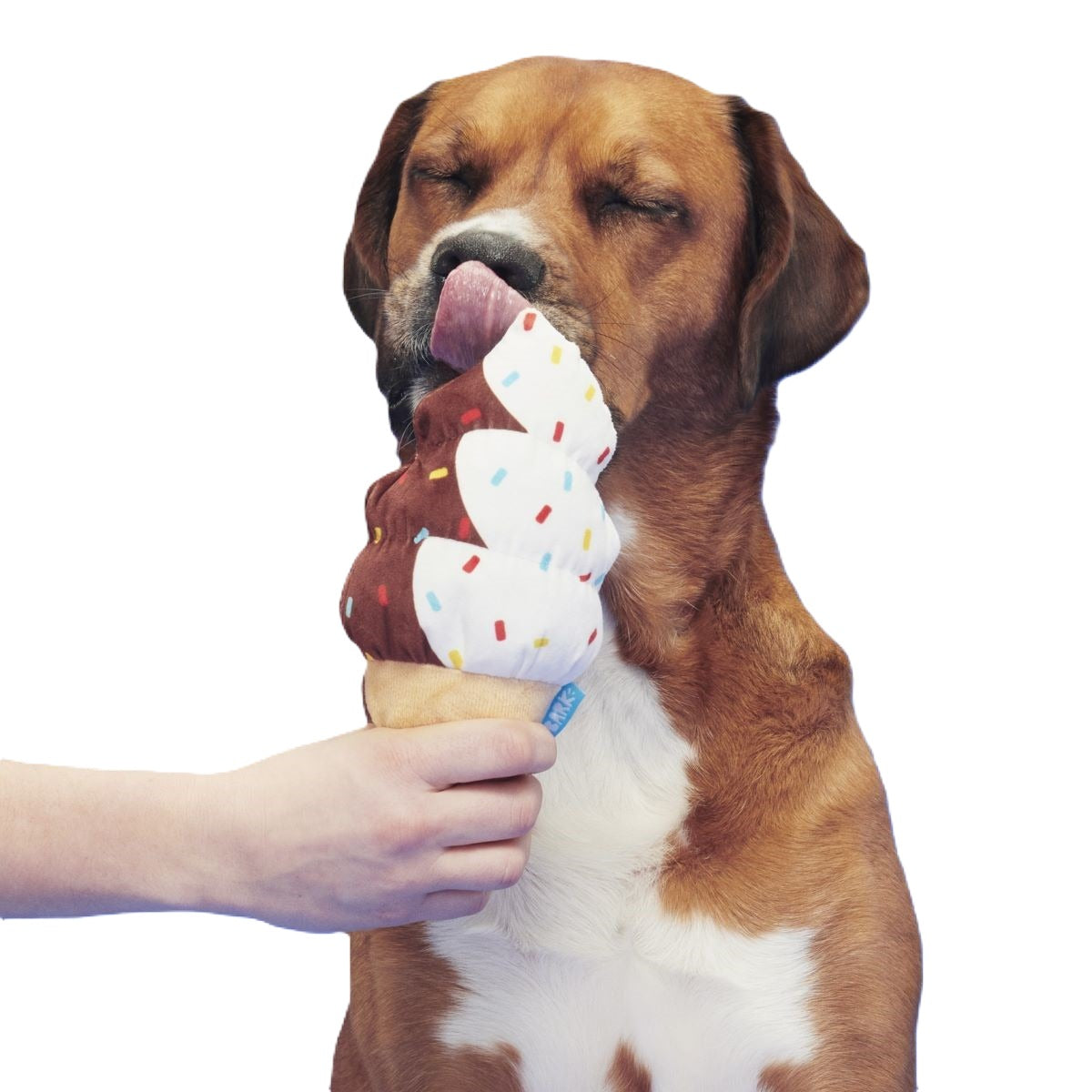 Ice Cream Carn Plush Tug Dog Toy