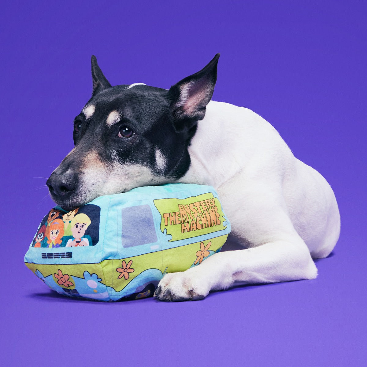 Howloween Mystery MachineTM Plush Extra-Large Dog Toy