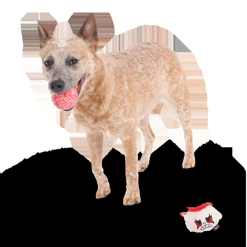 Dead Head Super Chewer Durable 2-in-1 + Fetch Dog Toy