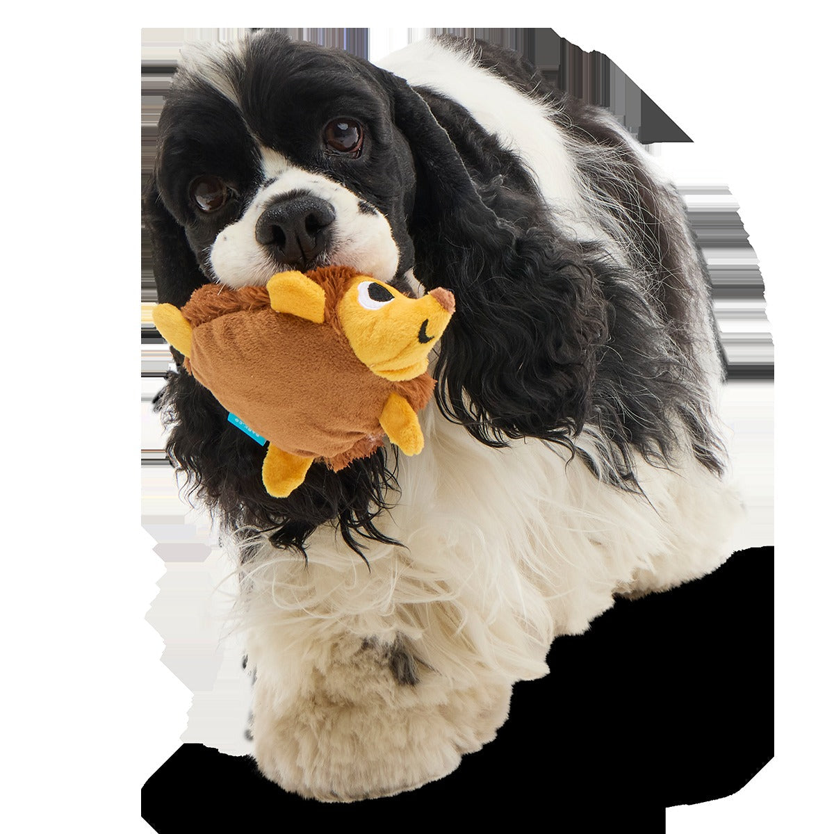 Spike the Ball Hog Plush Multi-Part + Fetch Dog Toy