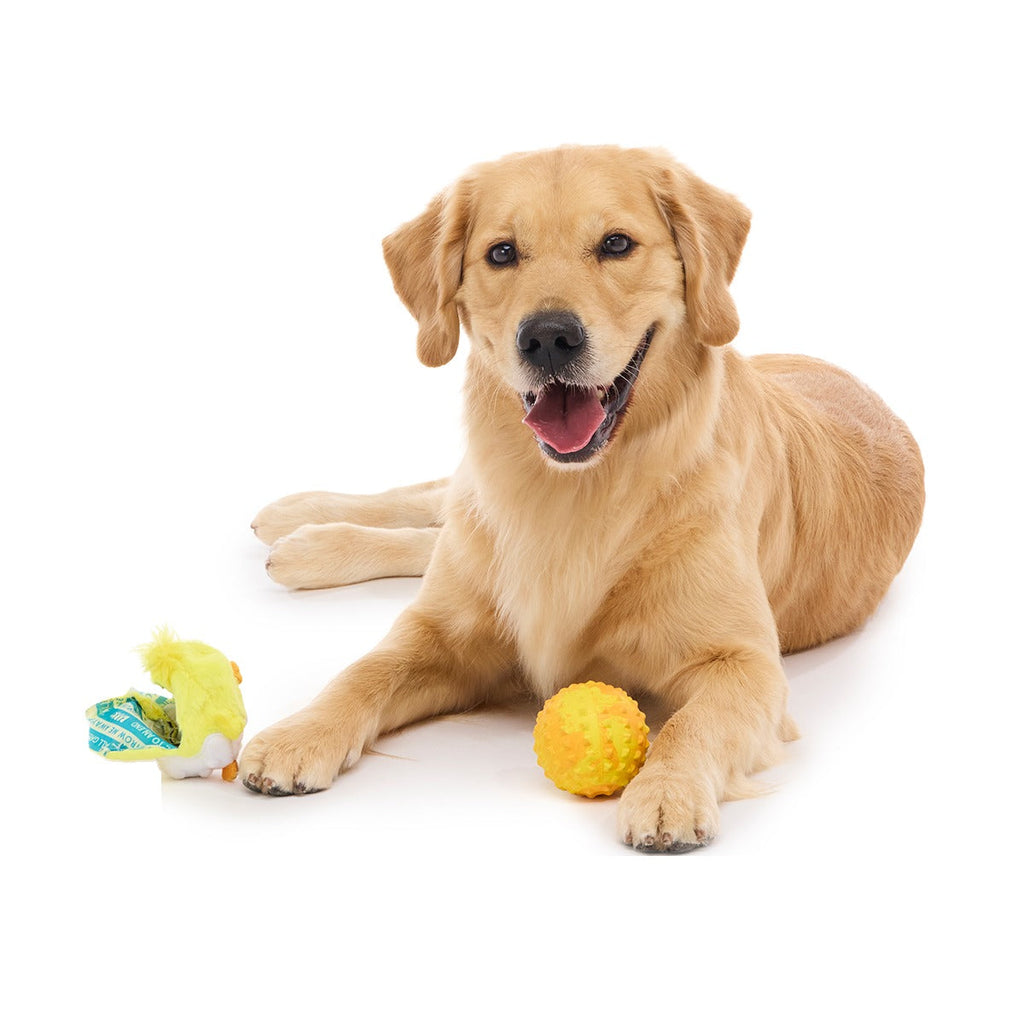 Chuck the Chick Super Chewer Durable 2-in-1 + Fetch Dog Toy