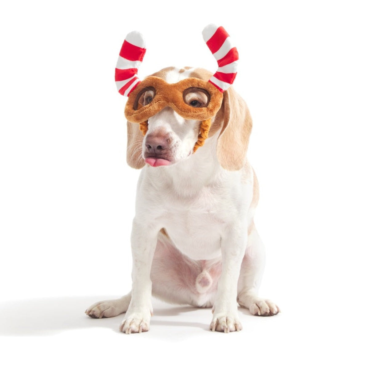 Howliday Spectacles Pack Plush Wearable Tug Dog Toy