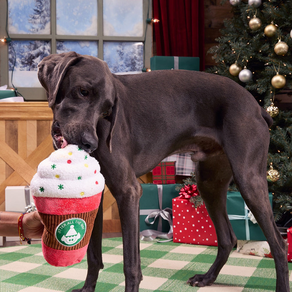 Jumbo Jingle Latte Plush Extra-Large Dog Toy