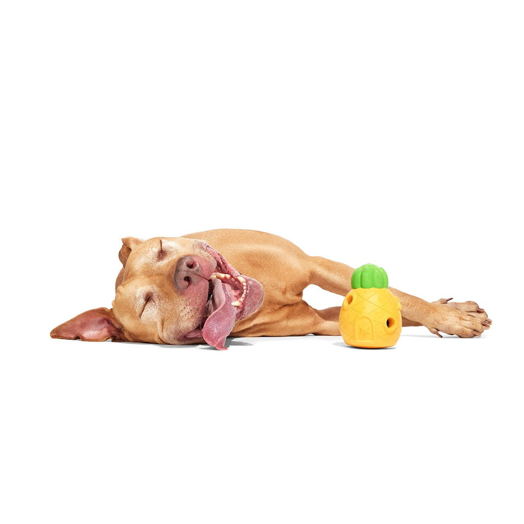 Home Sweet Pineapple Super Chewer Durable Enrichment Dog Toy