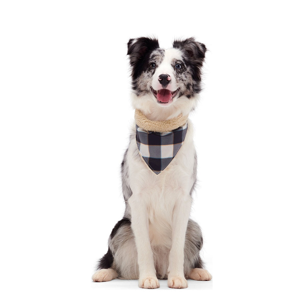 Plaid To The Bone Dog Bandana