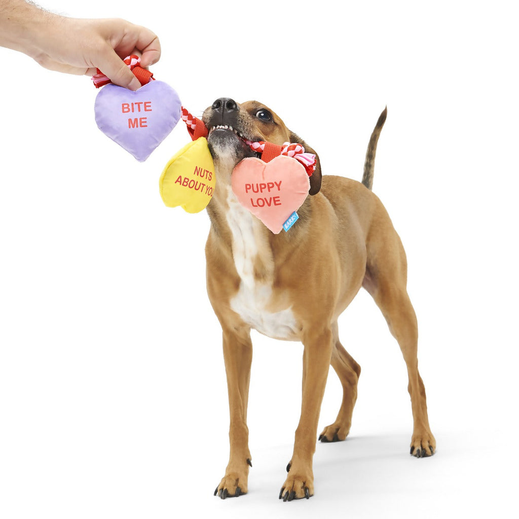 Tuggin' Heart Strings Plush Tug Dog Toy