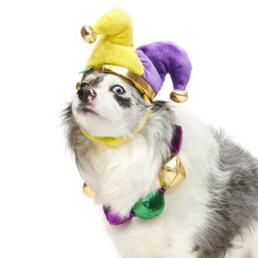 Fat Chewsday Hat Plush Wearable Tug Dog Toy