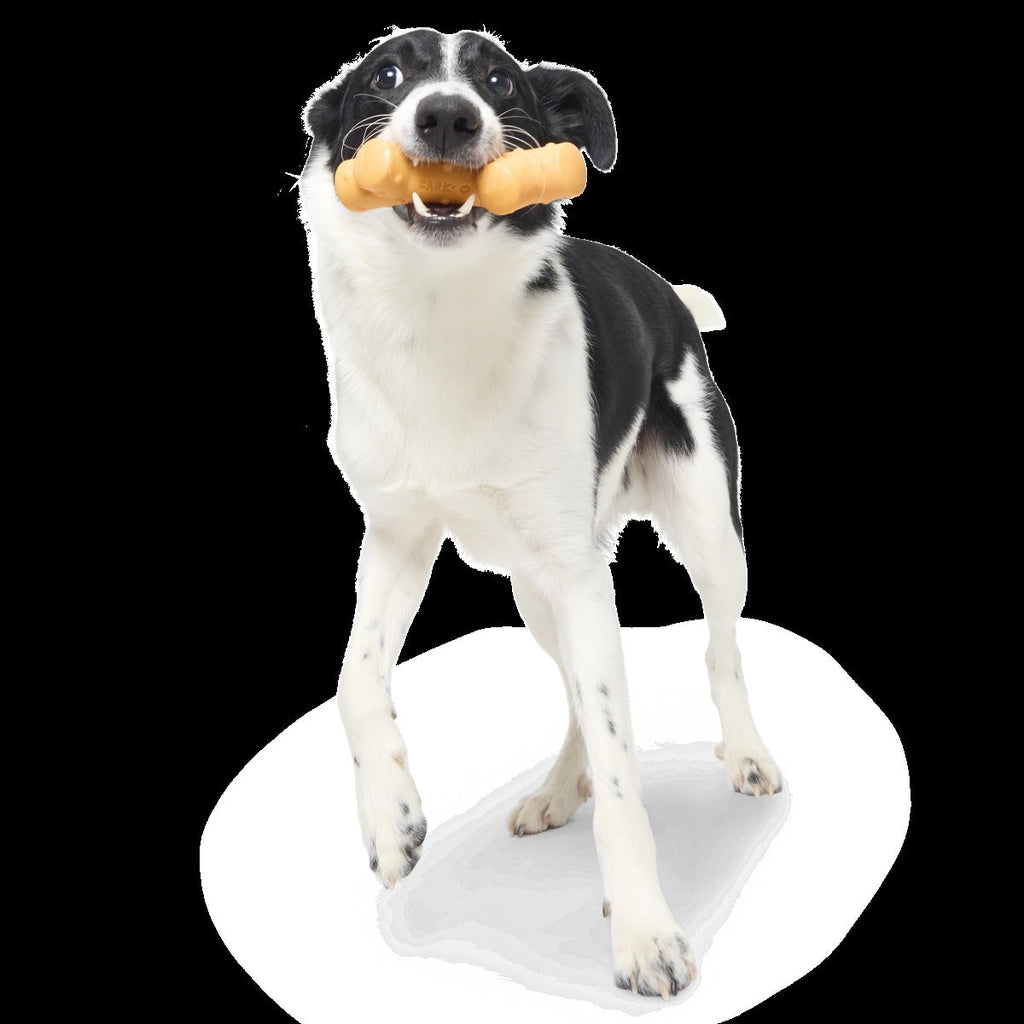 Reef Teefer Super Chewer Durable Gnaw Dog Toy