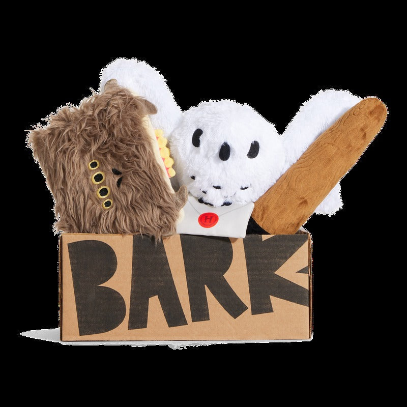 BARK 6 Month Subscription - Harry Potter First Box