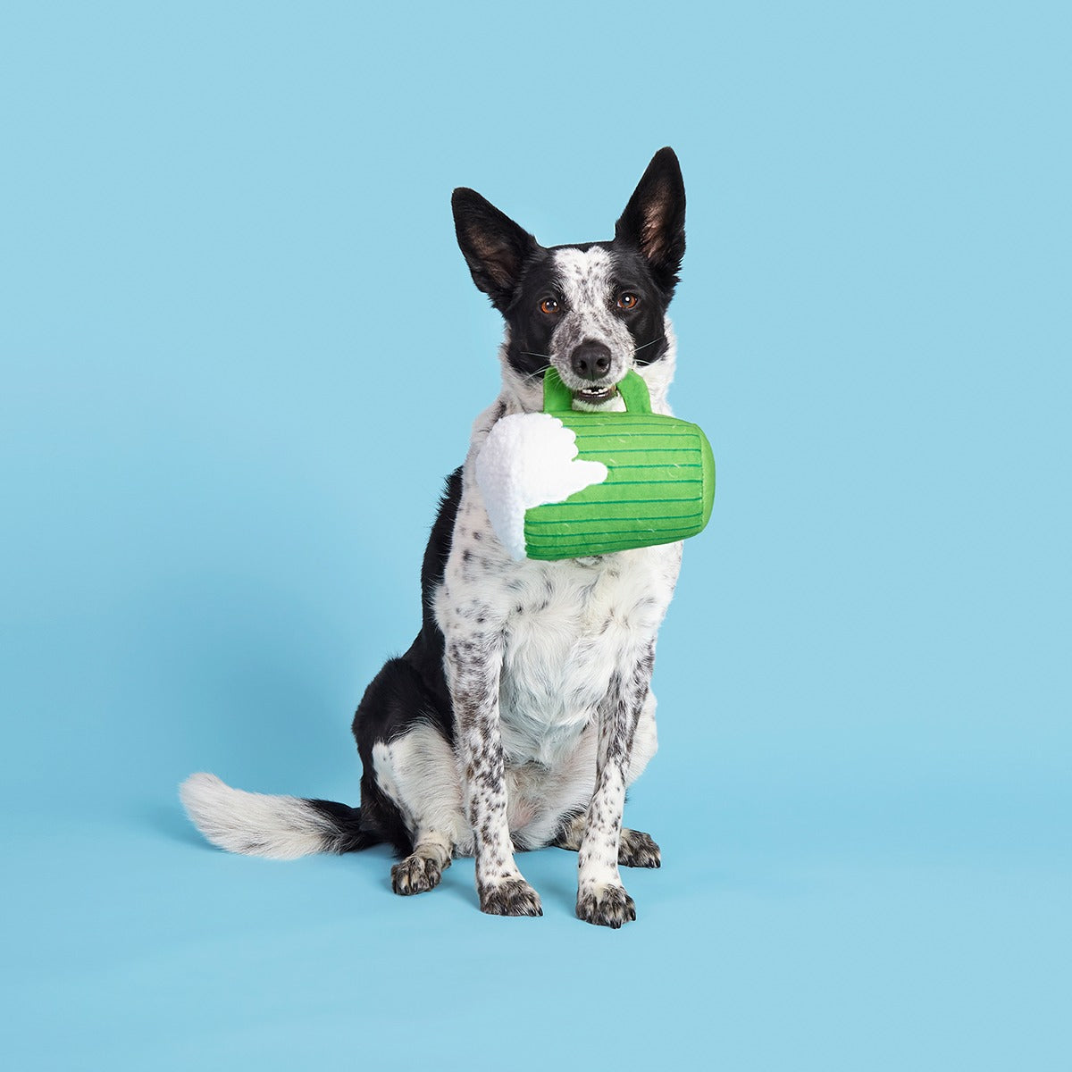 The Glass Is Greener Plush Tug Dog Toy