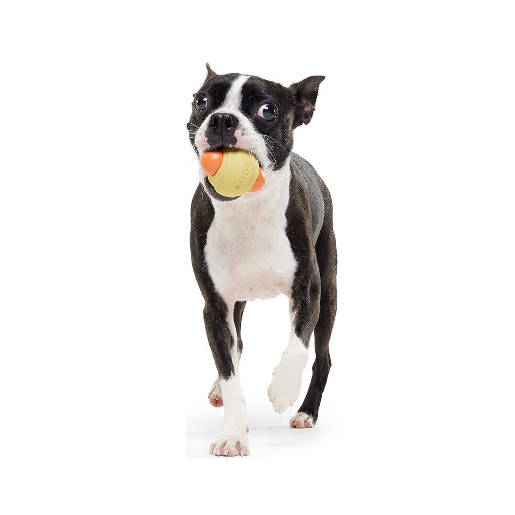 Weenie Dawg Super Chewer Durable Gnaw Dog Toy