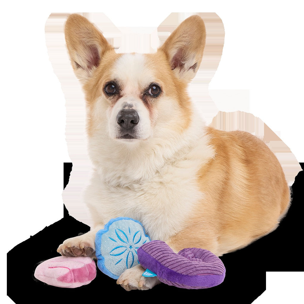 Fetchin' Squeakshells Plush Multi-Part Dog Toy