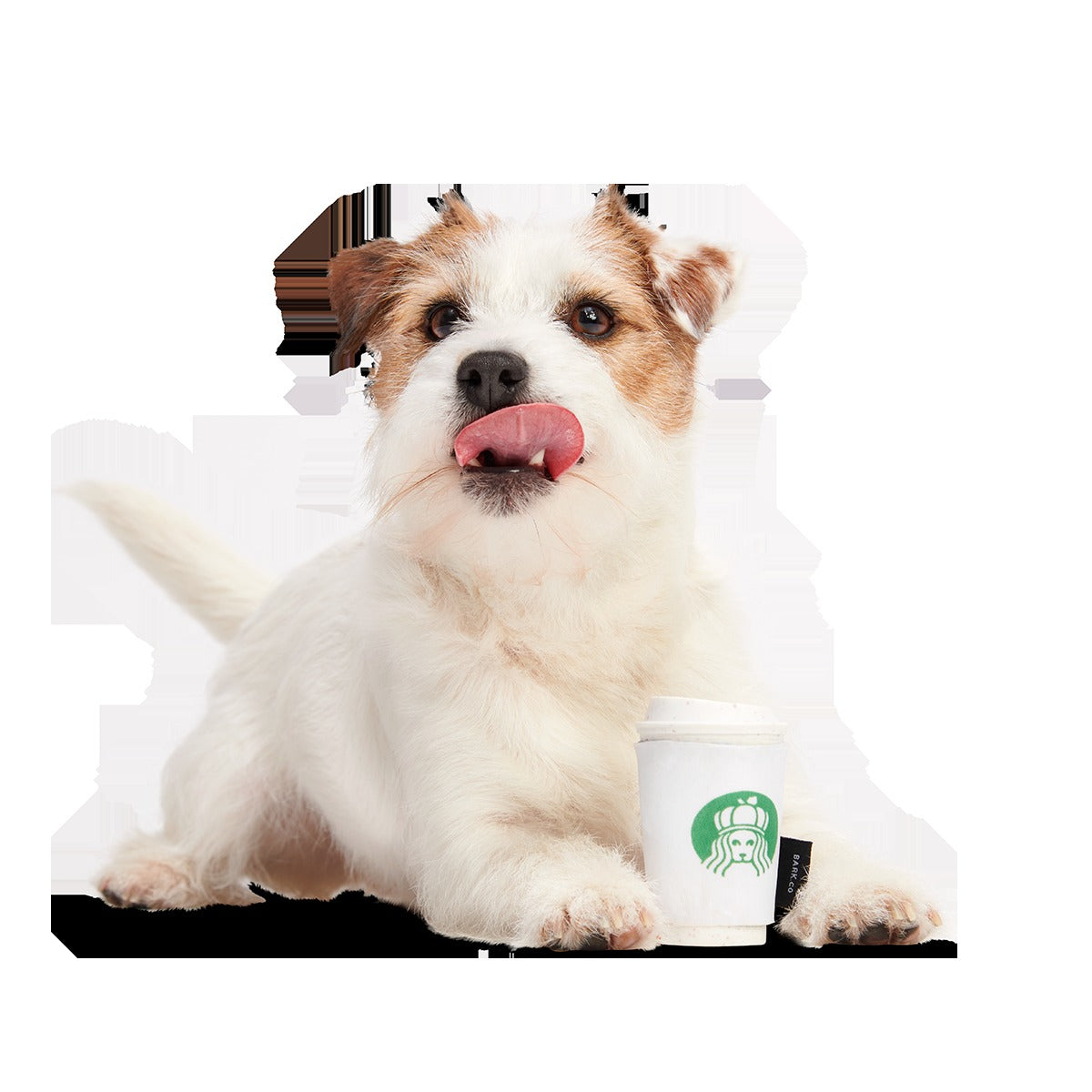 Pupkin Spice Yappuccino Super Chewer Durable 2-in-1 + Enrichment Dog Toy