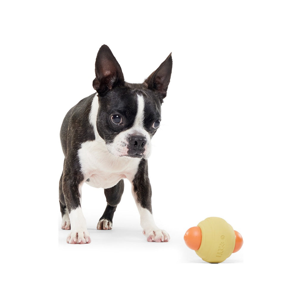 Weenie Dawg Super Chewer Durable Gnaw Dog Toy