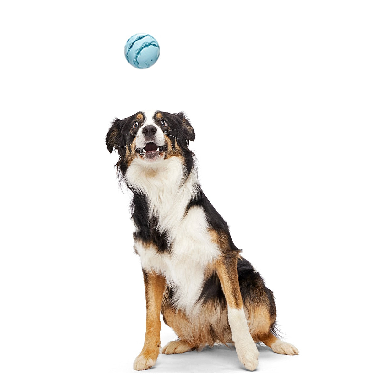 Jawball Super Chewer Durable Fetch + Enrichment Dog Toy