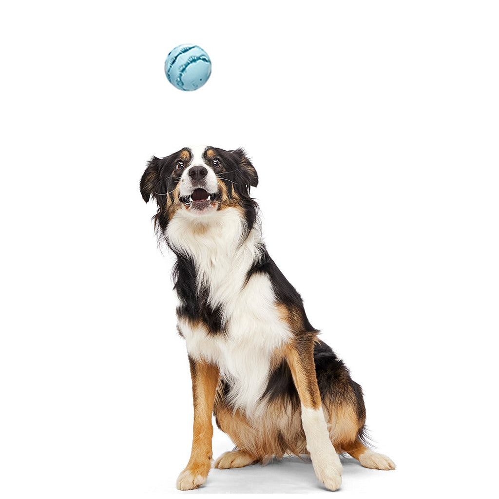 Jawball Super Chewer Durable Fetch + Enrichment Dog Toy