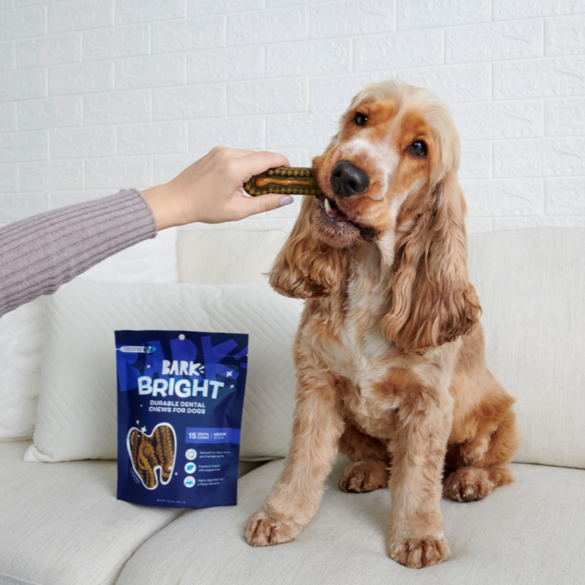 Bright Durable Dental Chews, 15 Ct