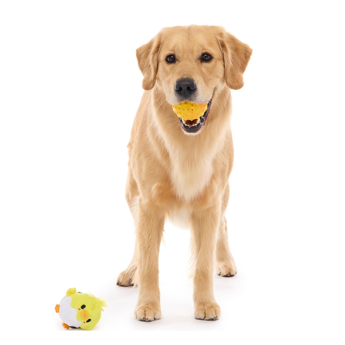 Chuck the Chick Super Chewer Durable 2-in-1 + Fetch Dog Toy