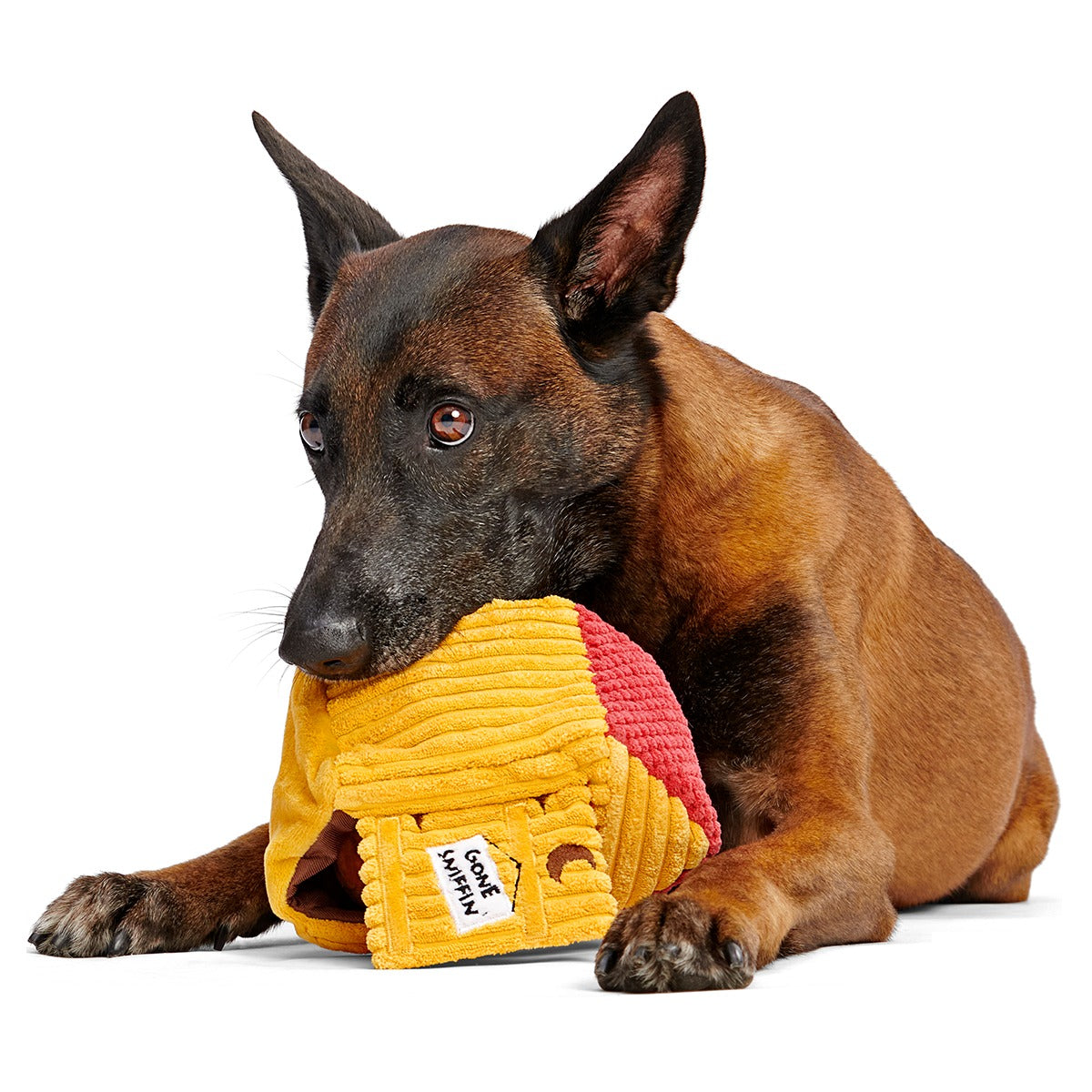 Turdbert's Snouthouse Plush Multi-Part + Enrichment Dog Toy