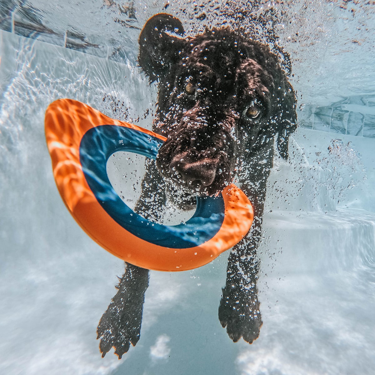 Flingray Super Chewer Durable Fetch Dog Toy