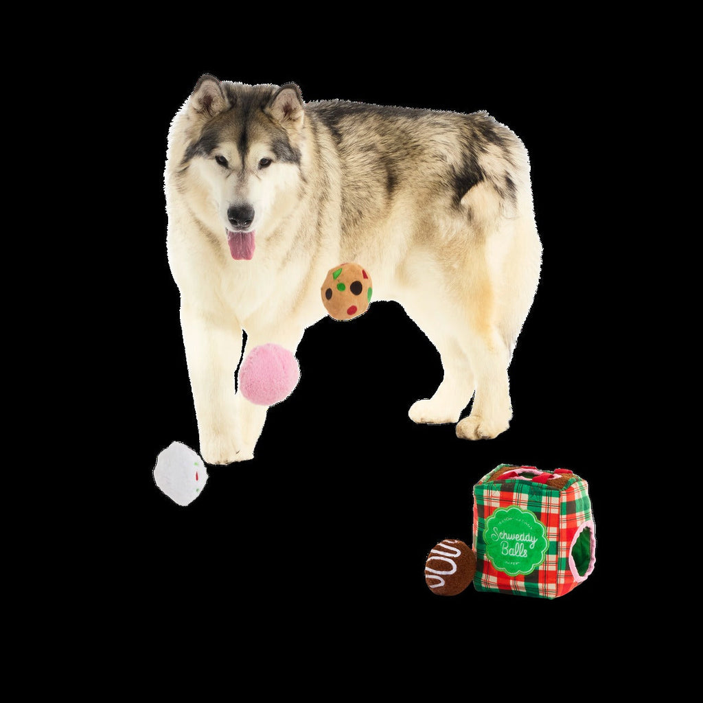 Saturday Night Live: Schweddy Balls Plush Multi-Part Dog Toy