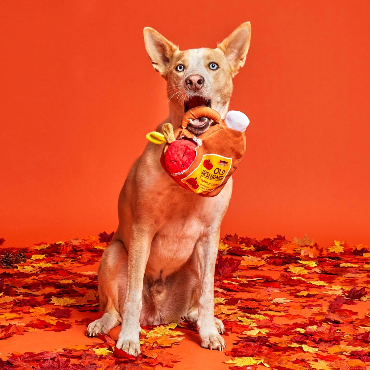 Old Furshioned Yapple Cider Plush 2-in-1 Dog Toy