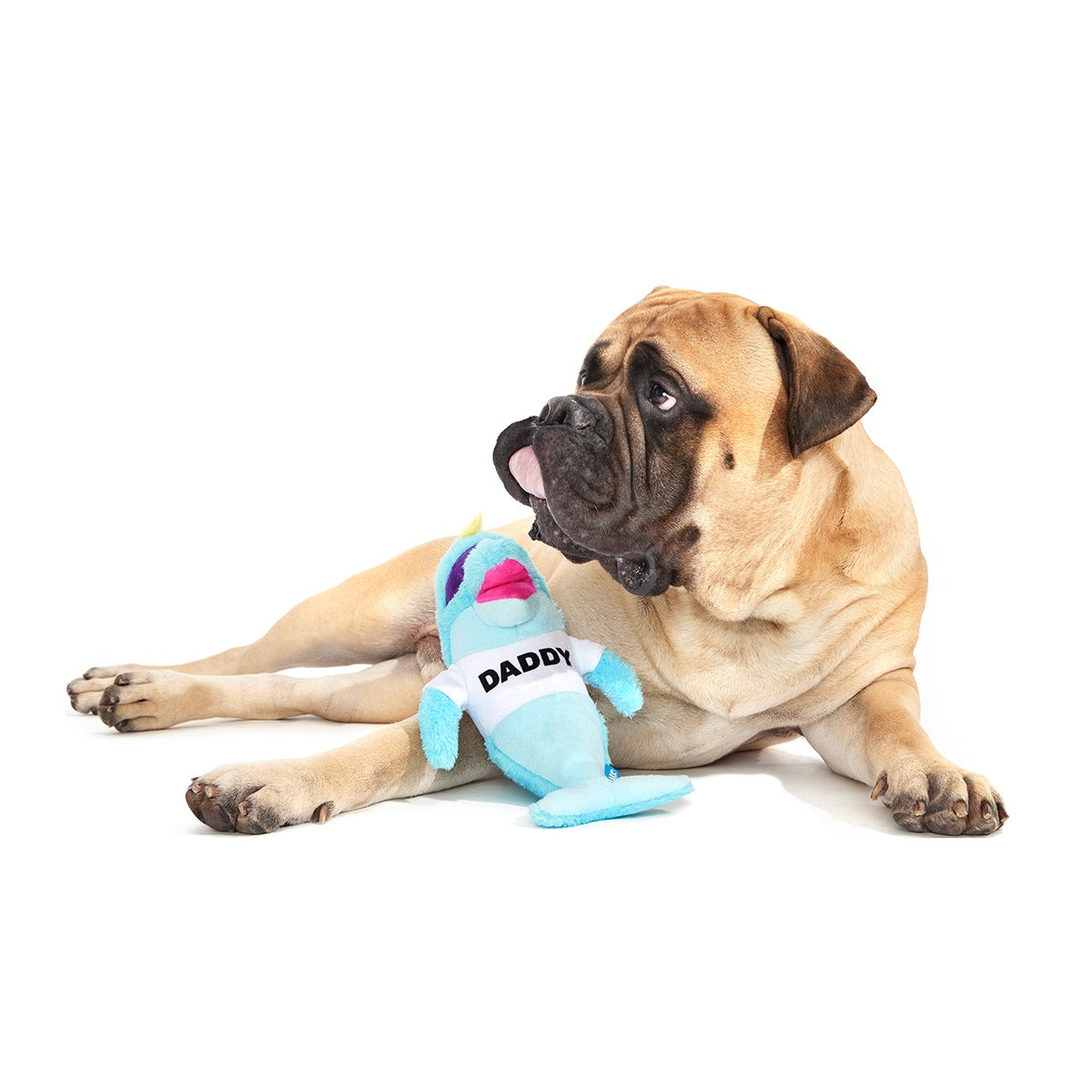 Daddy Dolphin Plush Tug Dog Toy